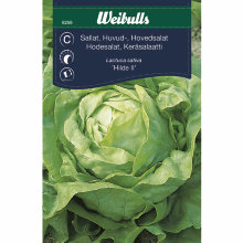 Hodesalat 'Hilde II'